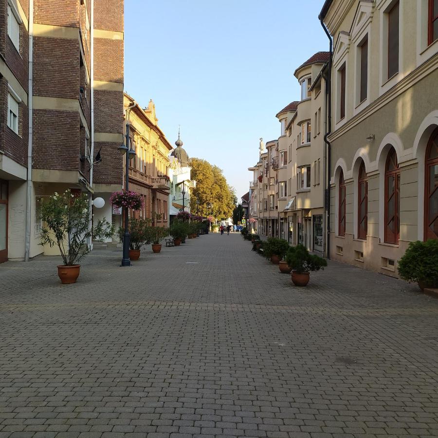 Apartment Krenusz Vendeghaz.
